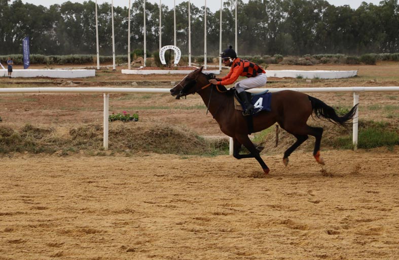 الجواد «خدام» يحتفظ بلقب كأس رئيس الدولة للخيول العربية للعام الـ 3 في تونس