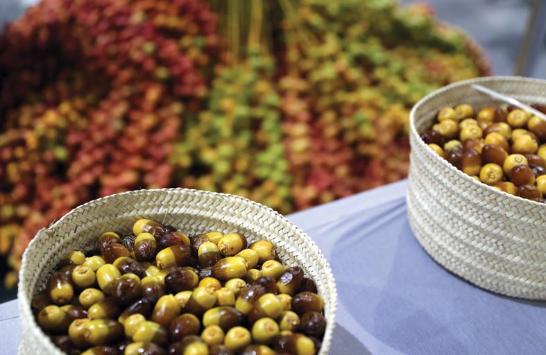 السوق الشعبي في مهرجان ليوا للرطب.. منتجات تعكس التراث وتحتفي بالنخيل