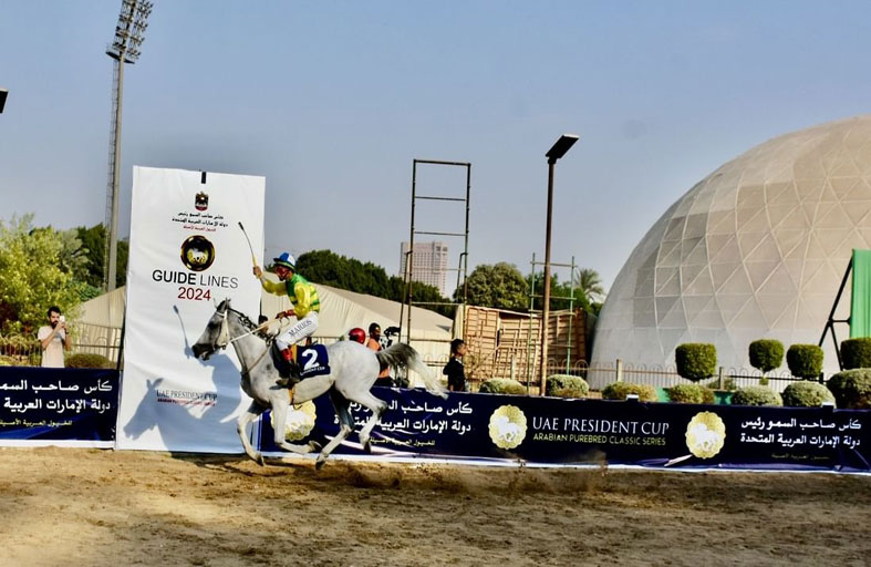 مضمار الجزيرة بالقاهرة يستضيف المحطة الـ 15 من كأس رئيس الدولة للخيول العربية الأصيلة