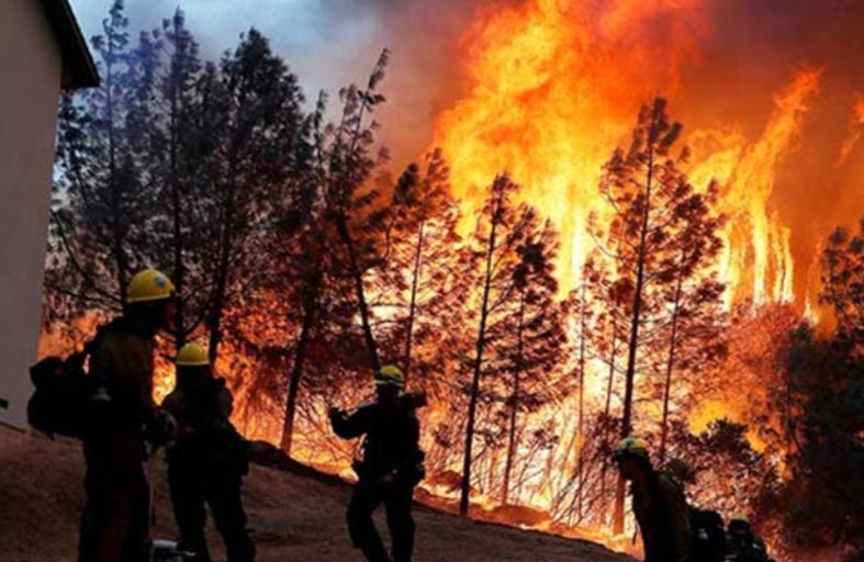 حرائق الغابات القصوى تضاعفت منذ 20 عاما في العالم 
