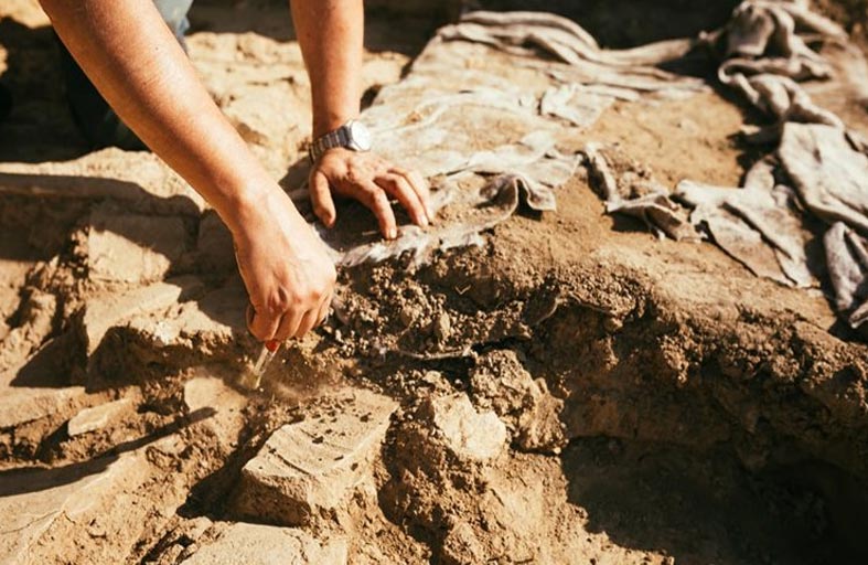 اكتشاف هيكل عظمي لسحلية عمرها 700 ألف عام