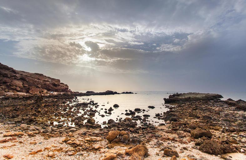 جزيرة صير بو نعير ..الملاذ الآمن لنوادر الكائنات الحية