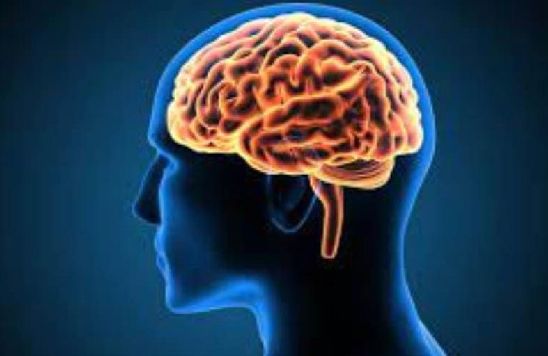 خلايا الجمع والطرح في الدماغ مختلفة