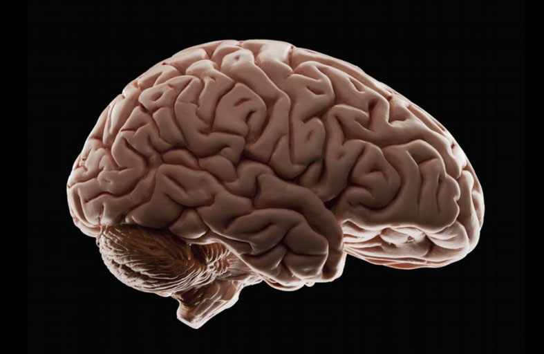 علماء: لفيروس كورونا تأثير سلبي كبير على صحة الدماغ لدى كبار السن