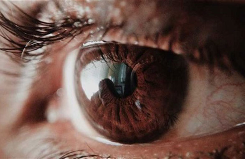 طبيبة توضح سبب ظهور «الذباب» أمام العينين