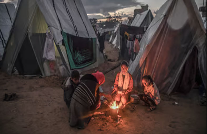 نازحو غزة يبحثون عن أخشاب تقيهم برد الشتاء في مخيمات رفح