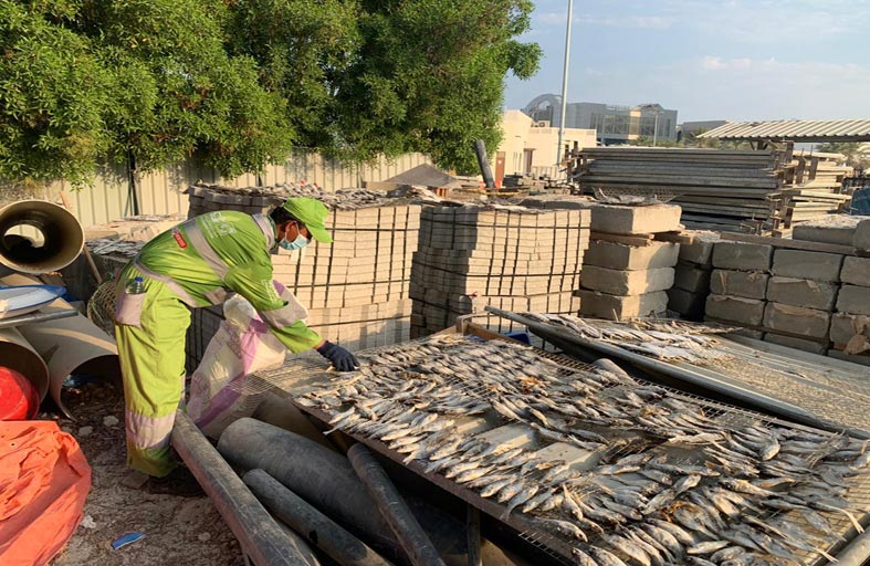 بلدية مدينة أبوظبي تنفذ حملة على بائعي الأسماك الجائلين في مرسى البطين بأبوظبي