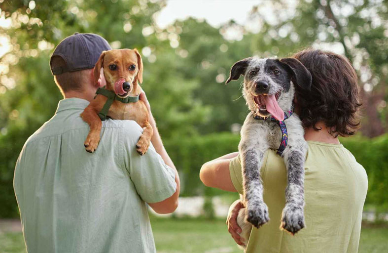 علاقة الإنسان والكلب تعود لأكثر من 14 ألف عام