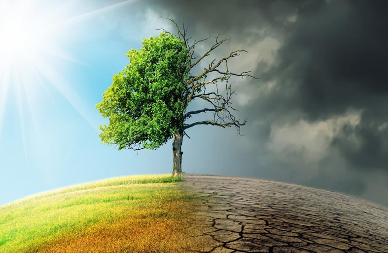 النقد العربي: الدول العربية مهتمة بالتخفيف من تداعيات التغير المناخي