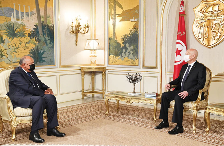 السيسي يدعم بشكل مطلق إجراءات الرئيس التونسي