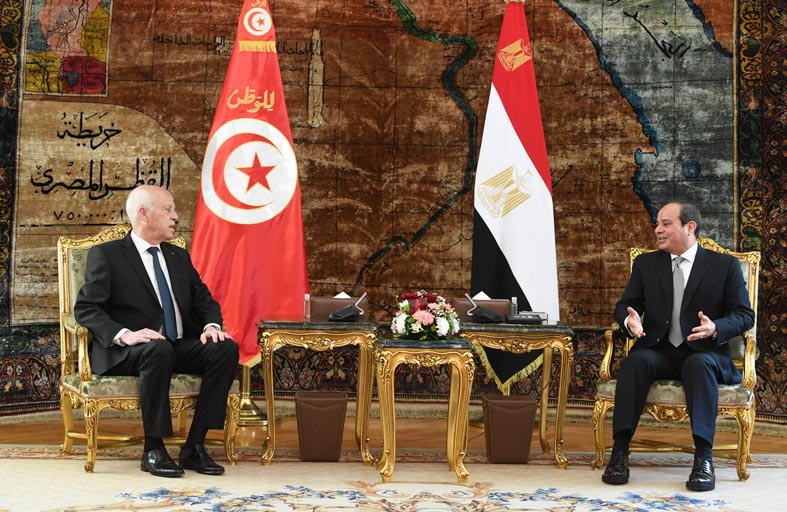 مصر مستعدة لتسخير كل إمكاناتها لتحقيق استقرار تونس