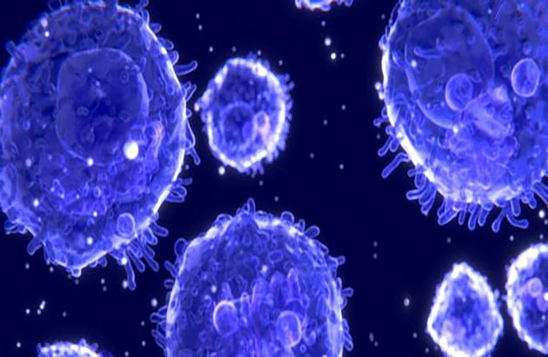 دراسة: الخلايا التائية تتصدى لسلالات كورونا الجديدة