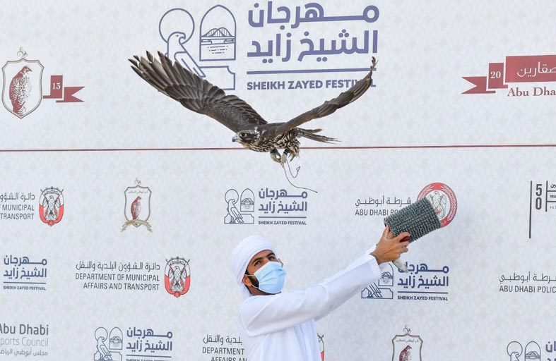 1250 صقراً تحلق في مهرجان الشيخ زايد للصيد بالصقور