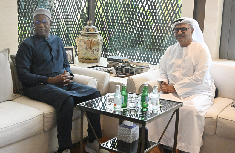 قرقاش يلتقي المبعوث الأممي إلى ليبيا