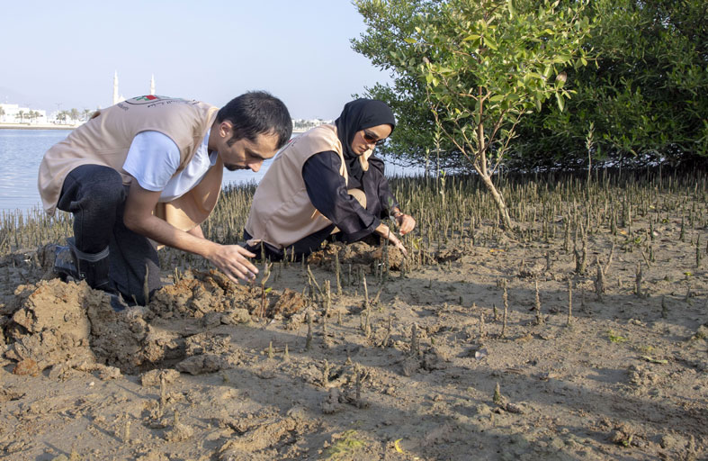بيئة ومحميات الشارقة تغرس 1,300 شتلة ضمن مبادرة زراعة أشجار القرم في عام 2023