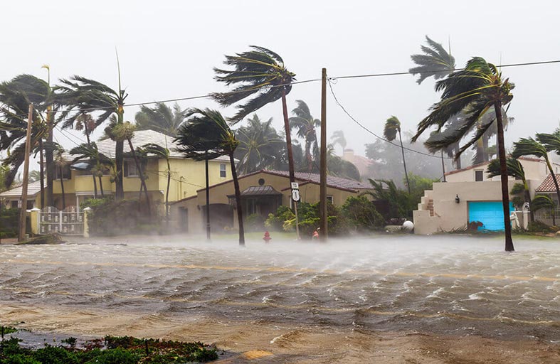 جهود حثيثة تبقى بعد سنة شهدت كوارث مناخية كبيرة 