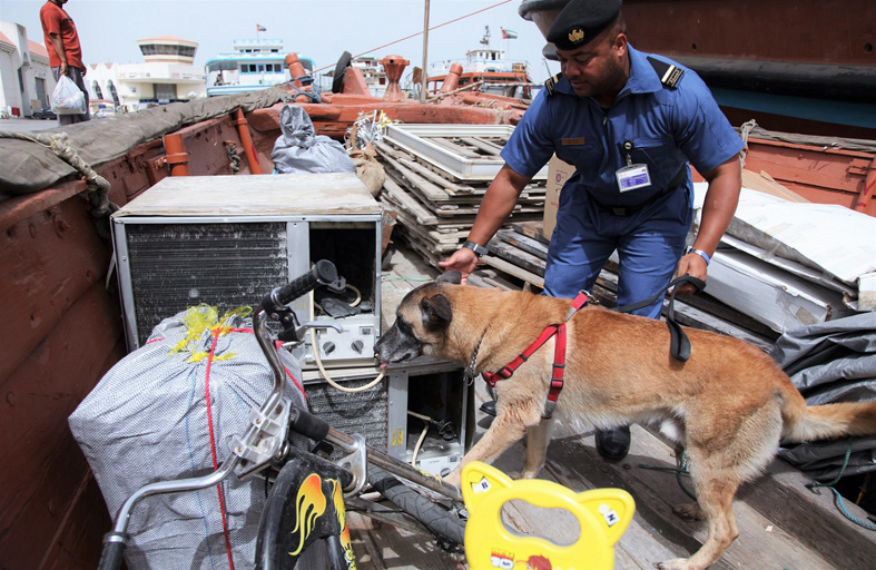 جهود جمارك دبي في تطوير التفتيش تسهم في إنجاز 4235 محضراً جمركياً 2022 