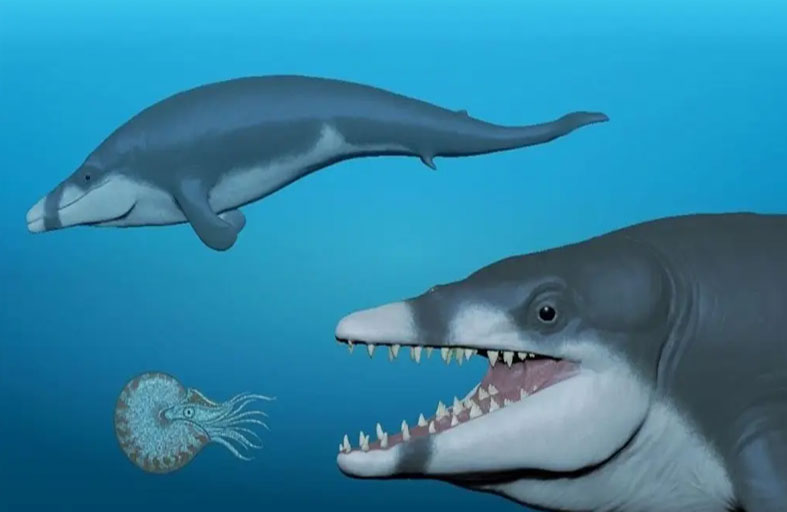 اكتشاف مصري لحوت عاش قبل 41 مليون سنة