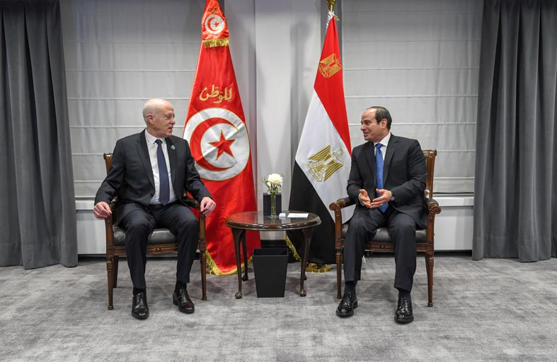 ماذا في لقاء سعيّد بالسيسي في بروكسيل؟
