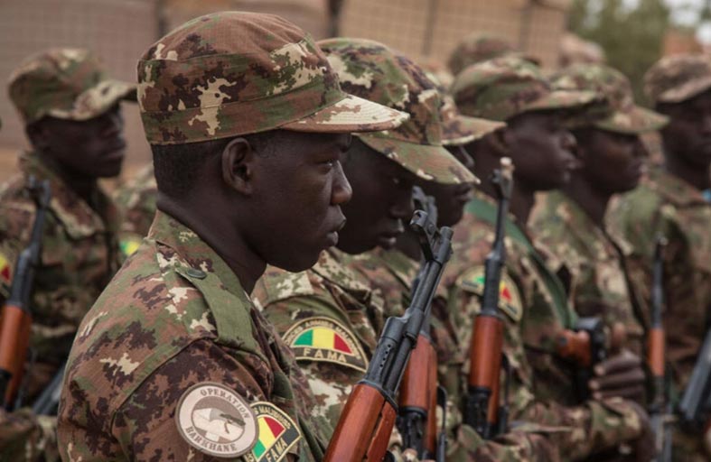  المجلس العسكري الحاكم في مالي يسمح بالأنشطة الحزبية 