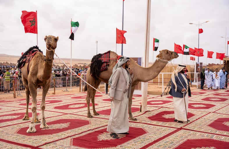 فعاليات إماراتية تراثية مميزة خلال موسم طانطان الثقافي بالمغرب