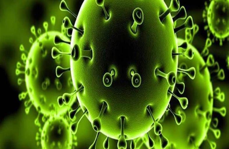 علماء يطورون لقاحاً يوفر الحماية من فيروس نيباه