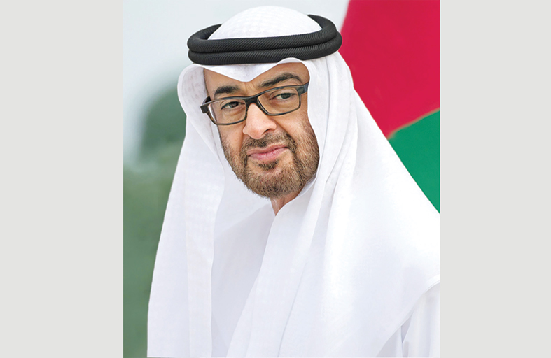 رئيس الدولة يصدر قراراً بتعيين وكيل لدائرة المالية
