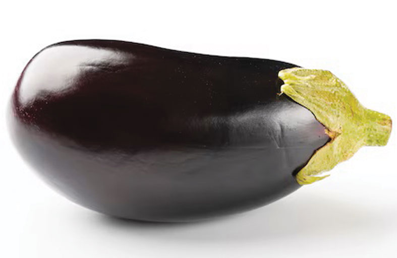 الباذنجان
