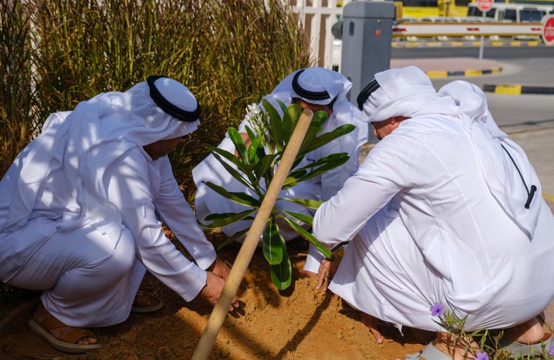 اقتصادية عجمان تُنظّم مبادرة «غرس الاستدامة» 