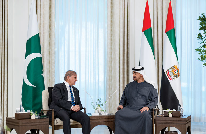 رئيس الدولة ورئيس وزراء باكستان يبحثان علاقات التعاون بين البلدين والتطورات الإقليمية 