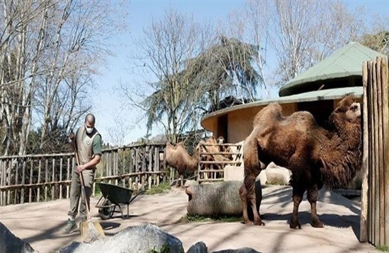 تشتري تذاكر حديقة حيوانات بقيمة 12 ألف يورو