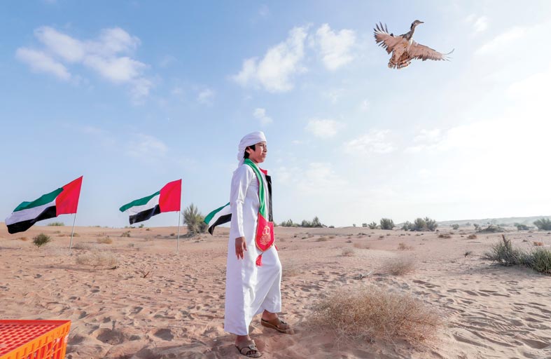 الصندوق الدولي للحفاظ على الحبارى يطلق 50 طائراً يحمل حلقات مزينة بعلم الإمارات وشعار عام الخمسين