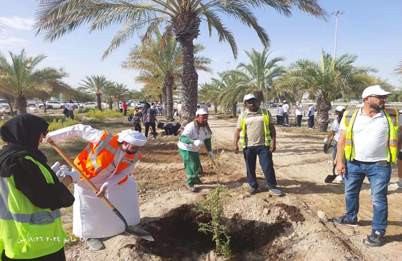 بلدية مدينة أبوظبي تنجز زراعة 3000 شتلة «غاف»   