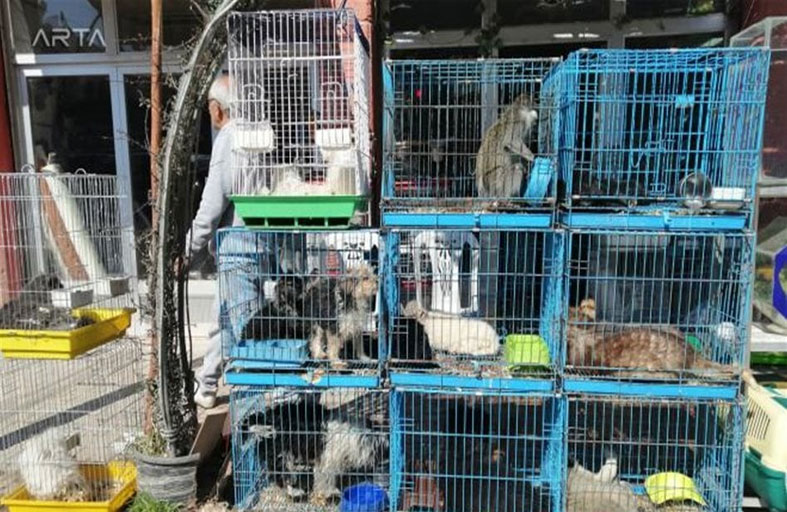 إنقاذ حيوانات احتجزت لأيام دون ماء وطعام 