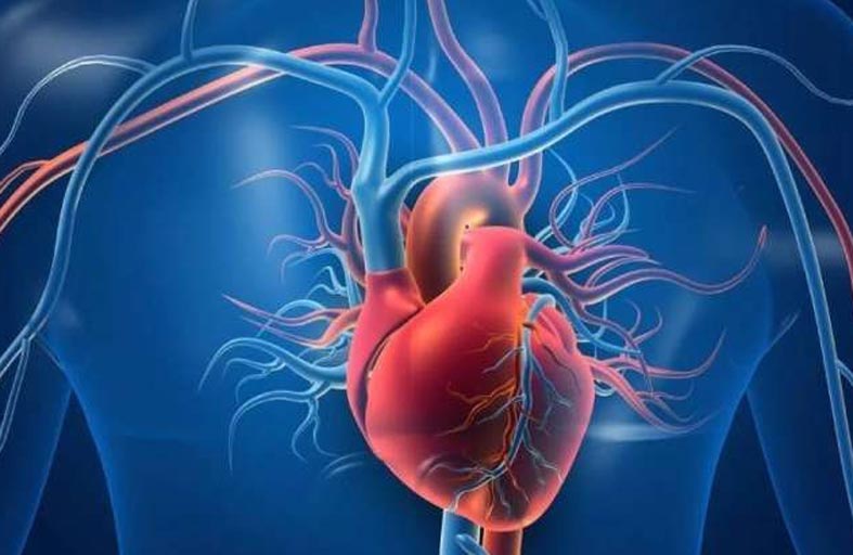 دراسة تكشف دور سوء التغذية في وفيات أمراض القلب