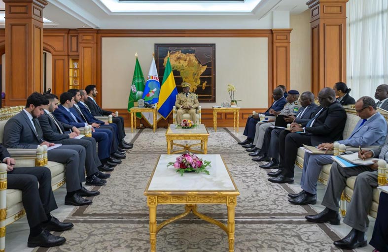 شخبوط بن نهيان يلتقي رئيس الغابون الانتقالي