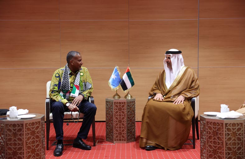 الإمارات والصومال تبحثان سبل تعزيز علاقات التعاون البرلمانية