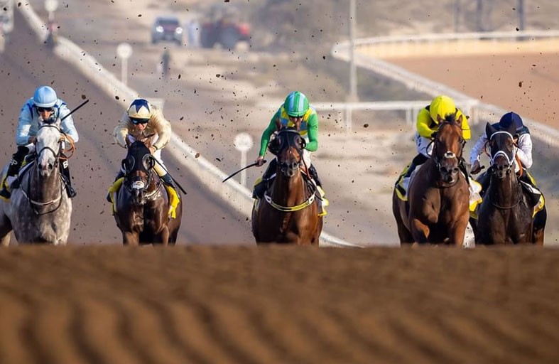 «الإمارات لسباق الخيل» تعلن مشاركة 45 خيلاً في السباق التجريبي الثامن بجبل علي