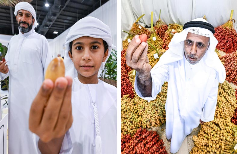 سما دبي تواكب دبي للرطب بحلقات خاصة وتقارير مميزة