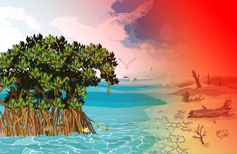 تريندز يصدر دراسة باللغتين: العربية والإنجليزية، تتناول أشجار القرم ودورها في التكيف والتخفيف من آثار التغير المناخي