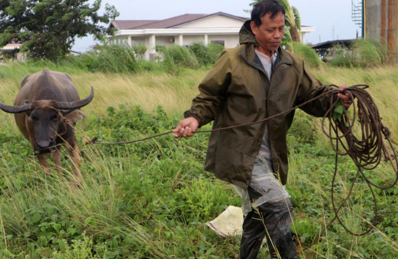  أوامر إخلاء في الفيليبين قبل وصول إعصار دوكسوري 