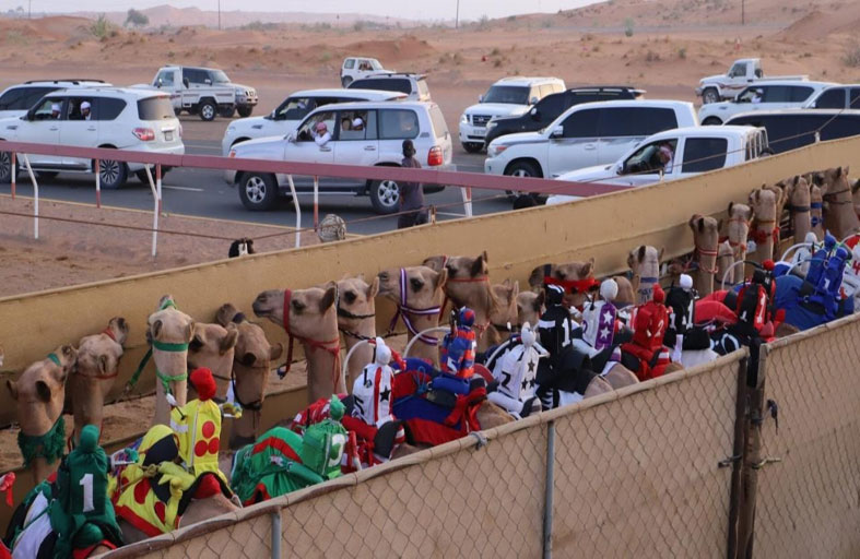 تواصل منافسات سباقات الهجن بميدان الذيد 