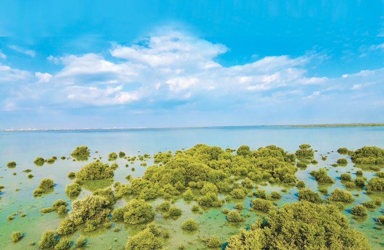 محميات الإمارات الطبيعية.. بوصلة عشاق السياحة البيئية حول العالم 