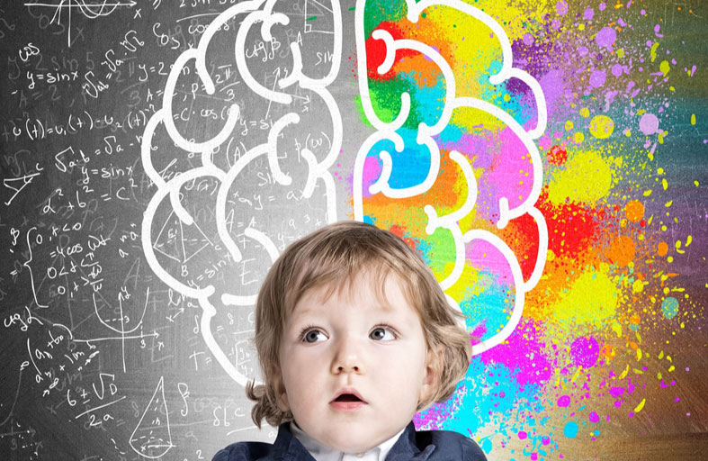 هل يمكن أن يكون «دماغ الطفل» أسطورة؟