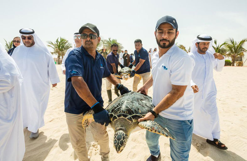 الشارقة للأحياء المائية .. صمام أمان البيئة البحرية