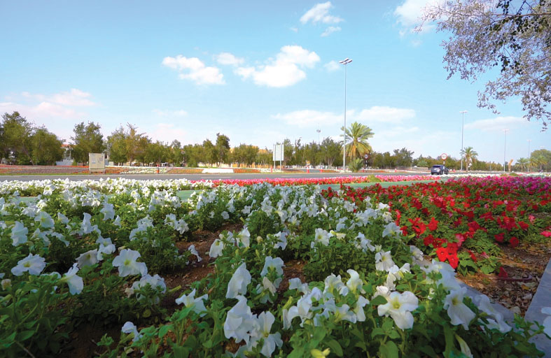 إنشاء مسار  للمشاة والدراجات الهوائية و زراعة أكثر من 300 ألف زهرة موسمية