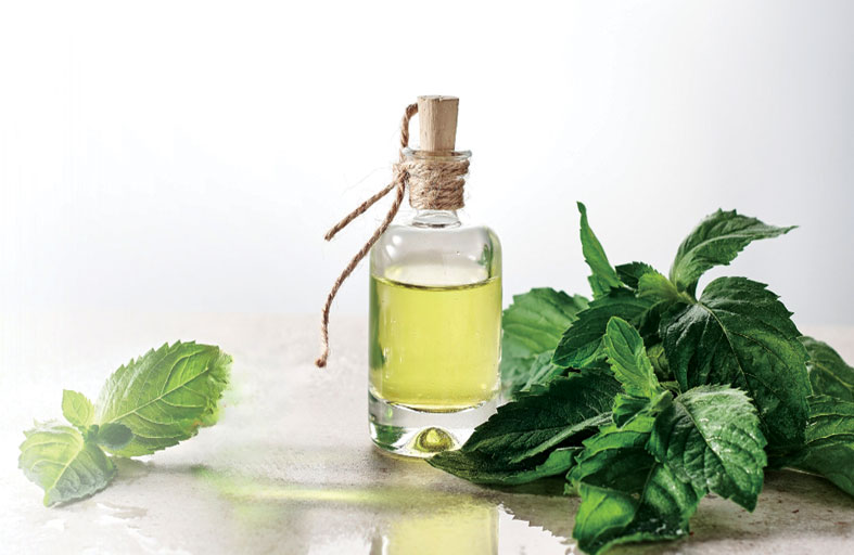 زيت النعناع 