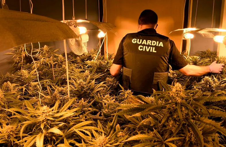  ضبط أكبر كمية من الماريجوانا على الإطلاق في إسبانيا