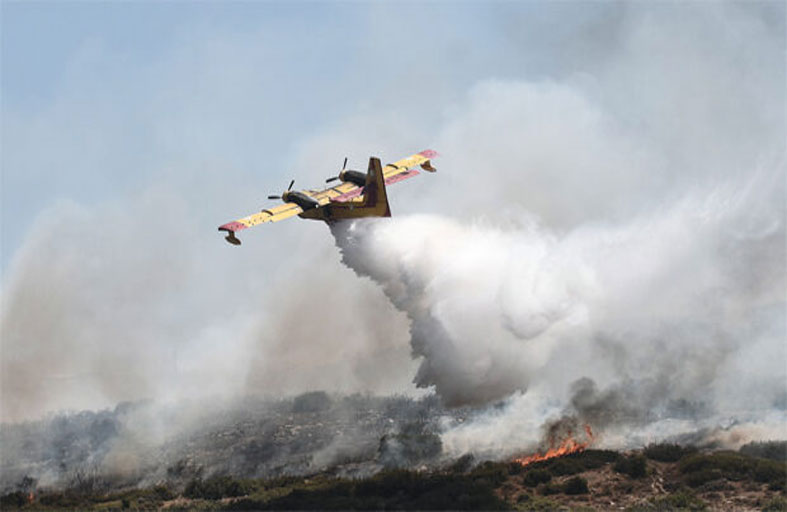النظام البيئي مهدد في اليونان بفعل الحرائق