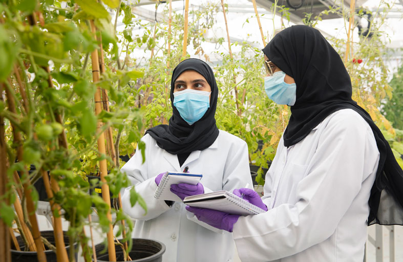 الاستفادة من الأنظمة الجينية للنباتات كمسار لتطوير الزراعة في الإمارات